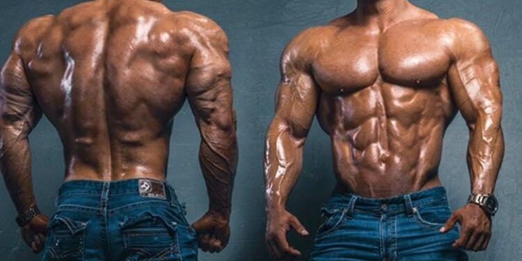 Armon Adibi’s Net Worth